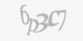 Защитный код