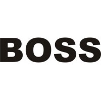 Аккумуляторные батареи для погрузчиков Boss (Босс)